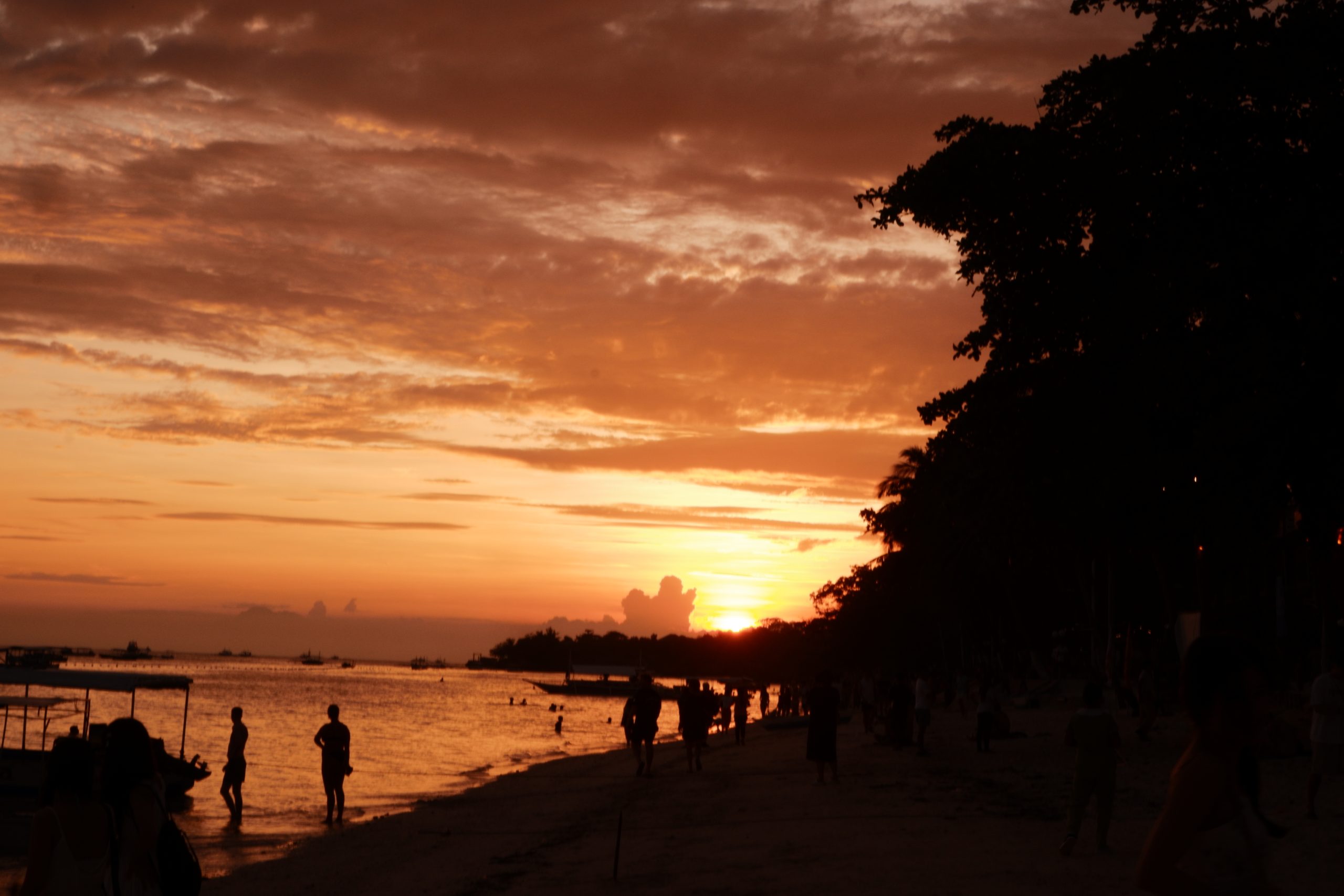Finding Joy at the Ocean